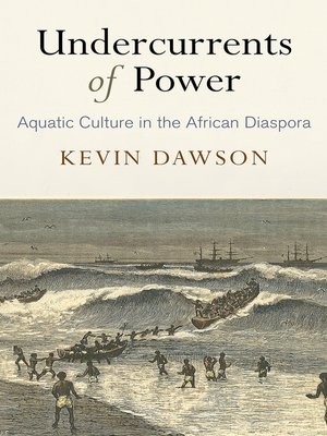cover image of Undercurrents of Power